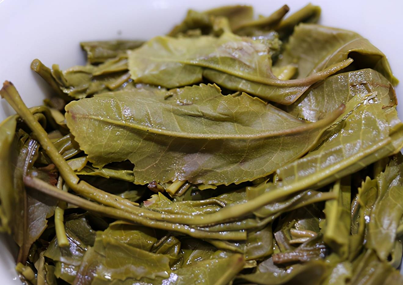 茶叶渣可以直接倒花盆里吗?_手机搜狐网