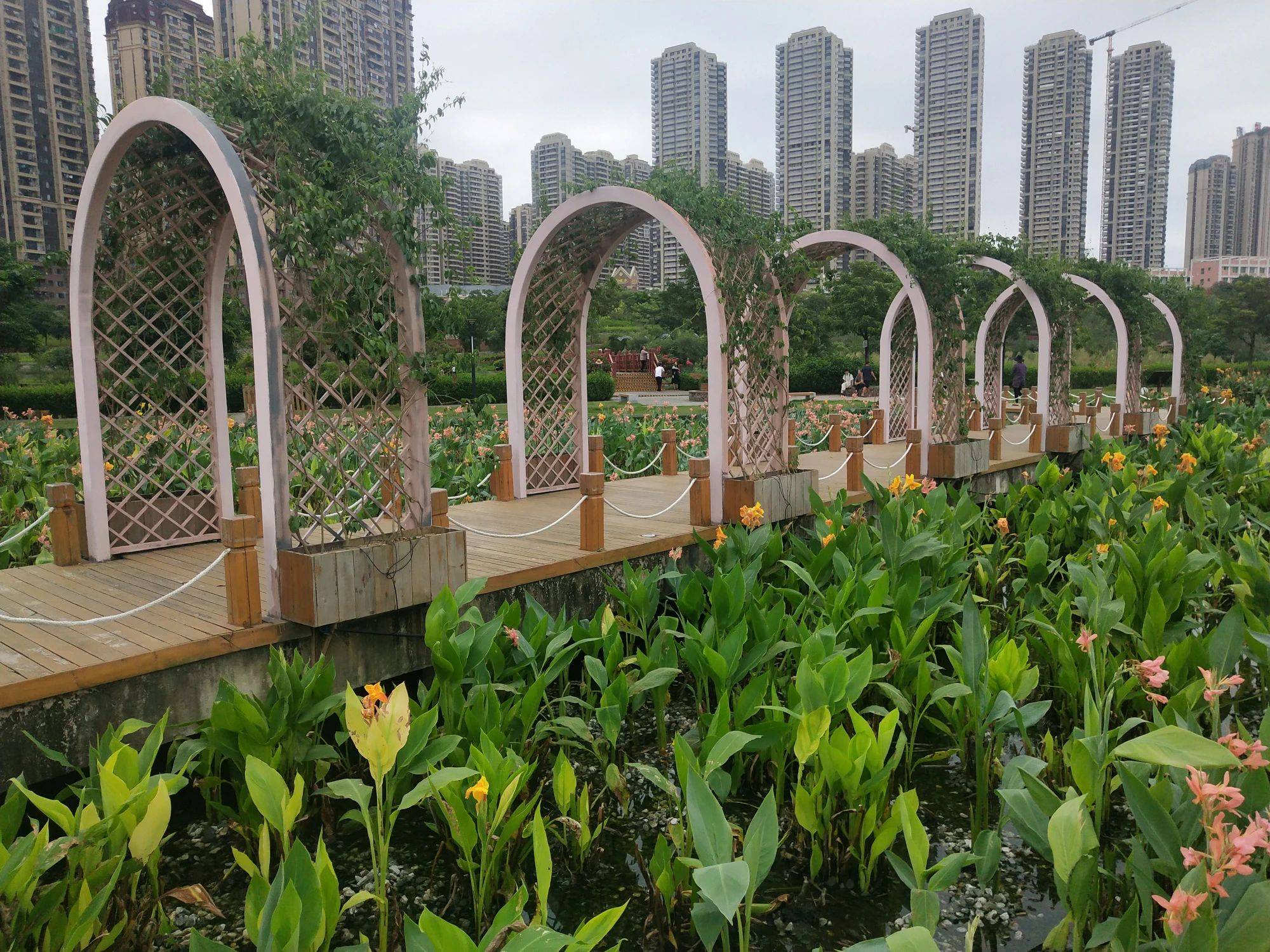 南宁免费景区那考河湿地公园观光记