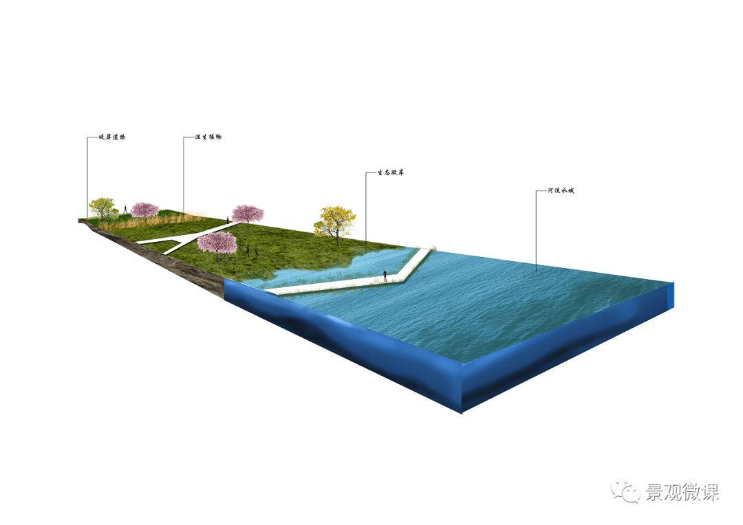 景观学习 | 生态驳岸的设计及应用_大自然