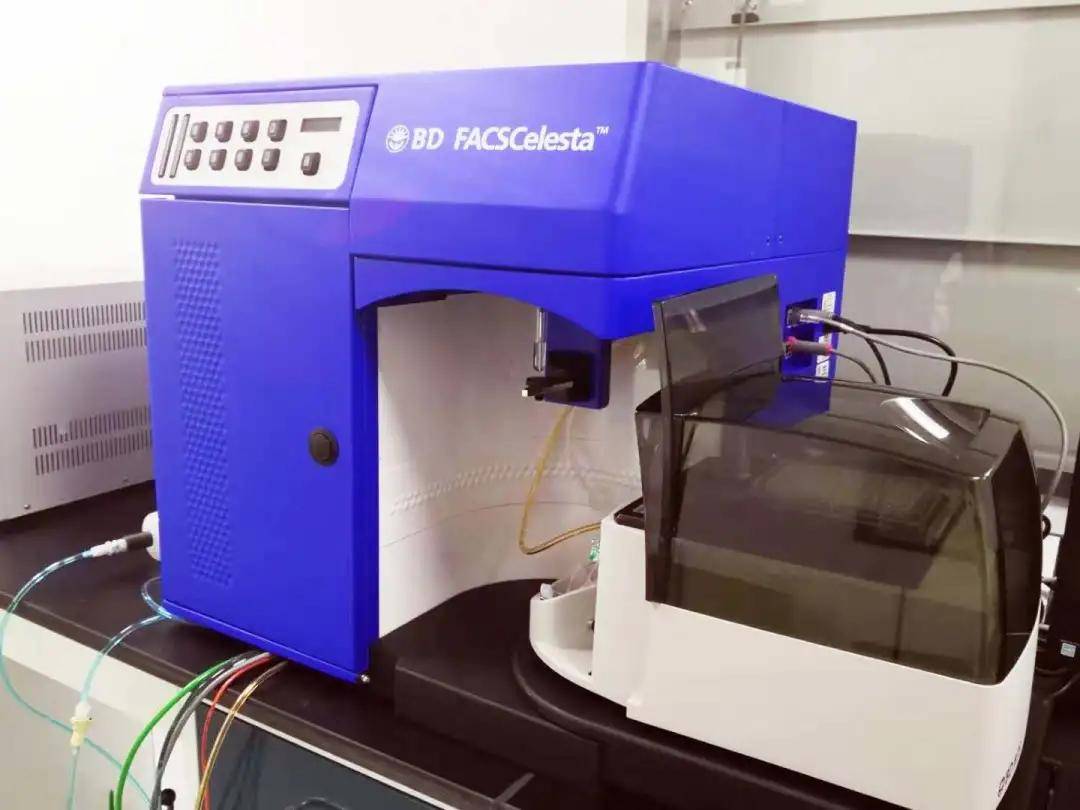 Lab BD FACSCelesta