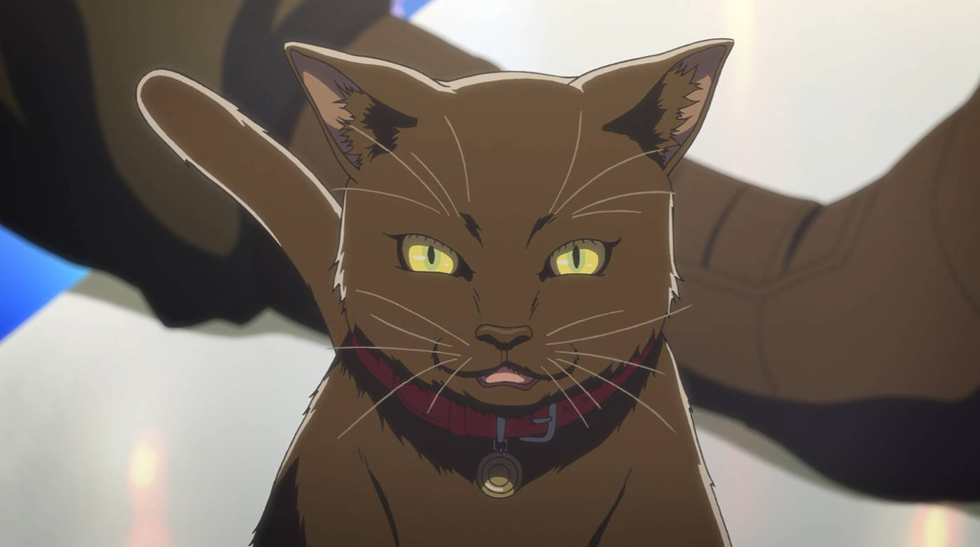 全员恶玉:恶人美学赛朋故事,隐喻日本美国