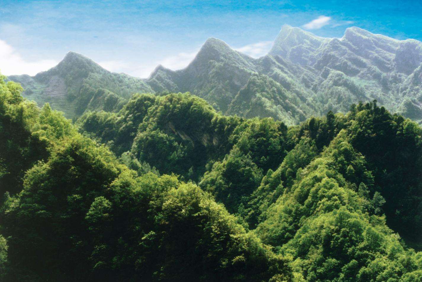 原创四川被忽略的一处森林公园以原始森林景观为主是国家级公园