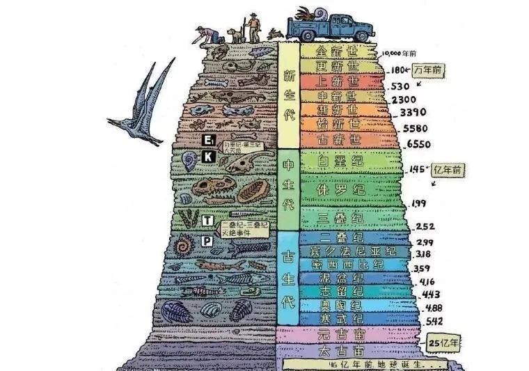 地球纪年表及生物图片