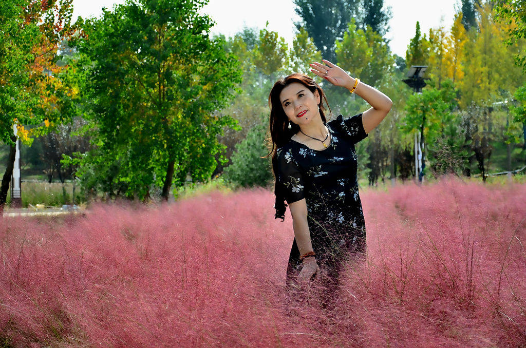 洛宜河畔粉红佳人