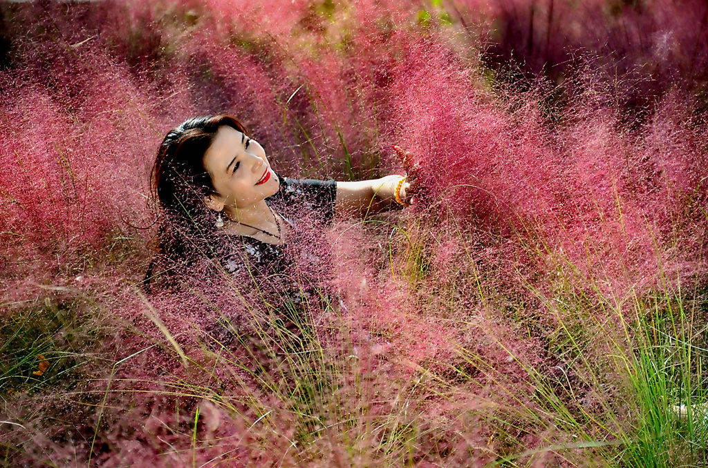 洛宜河畔粉红佳人