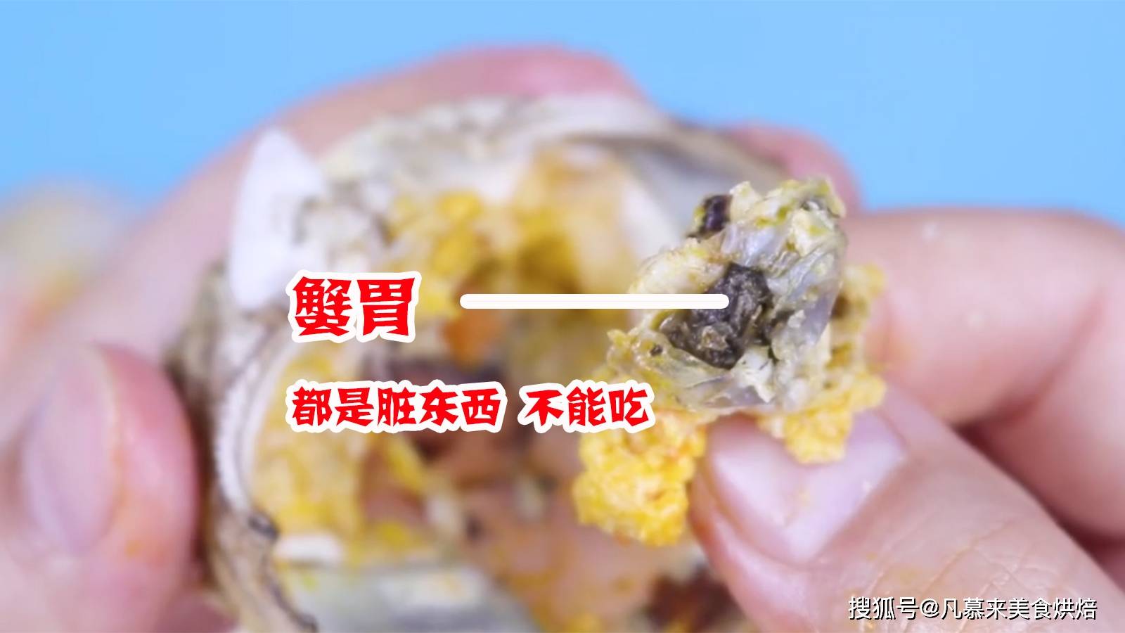 手把手教你螃蟹的正确吃法步骤详细好多部位以前你都吃错了赶紧学学吧