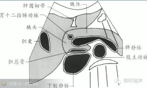 1-3-5胰頭長軸切面,包括門靜脈和膽總管1-3-6胰頸及鉤突矢狀切面,包括