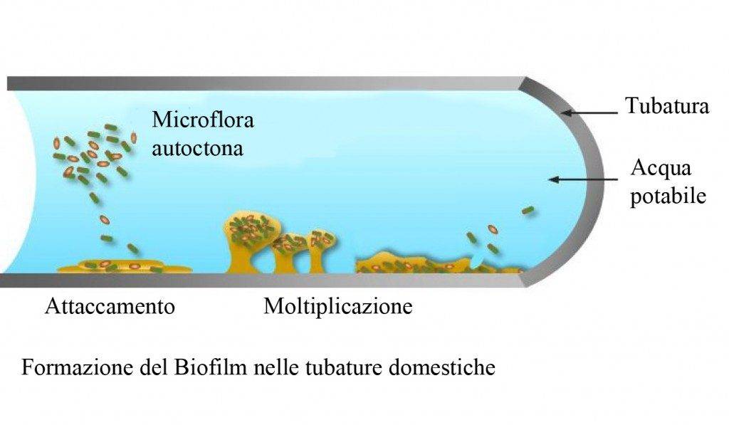 管道生物膜清除新方法