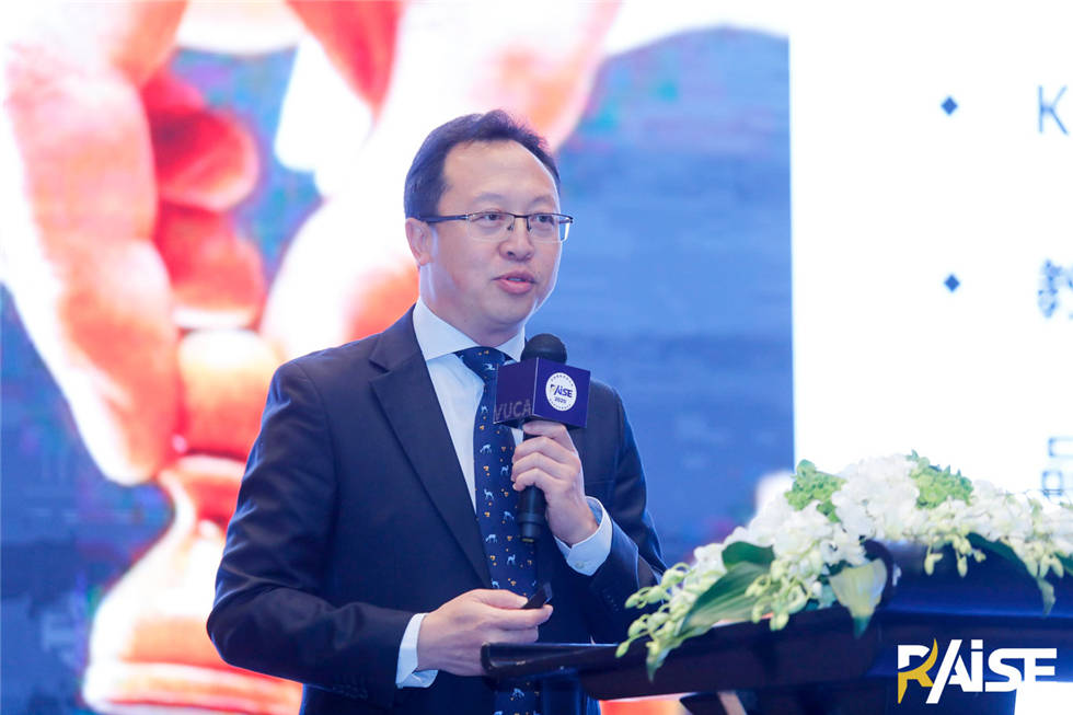 vuca时代有所为有所不为李松博士在raise2020高端闭门会上的演讲