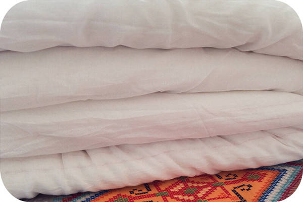 《小刘知特产》之新疆土织棉布