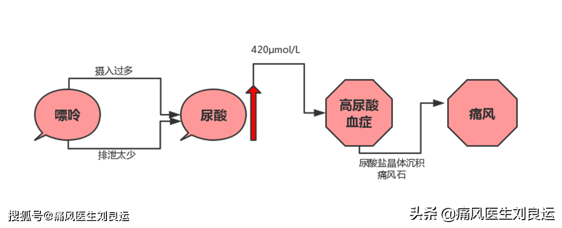 尿酸高不一定痛風發作但你仍需瞭解血尿酸高的原因和危害