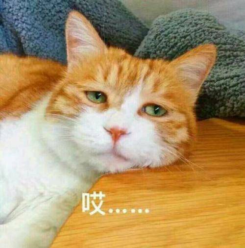 研究发现,男性与女性之间的关系超乎想象!