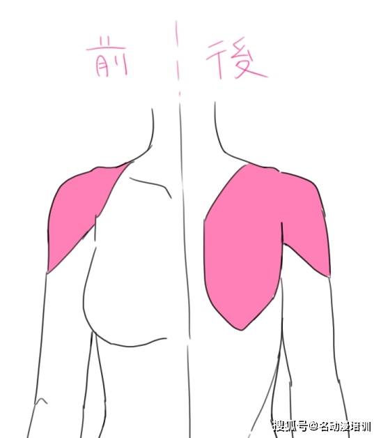 教你如何画好动漫人物背部轮廓