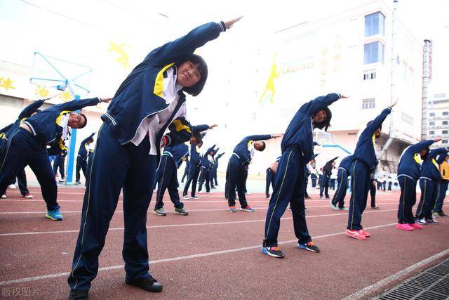 队列训练教案下载_队列训练课教案_教案队列训练下载什么软件