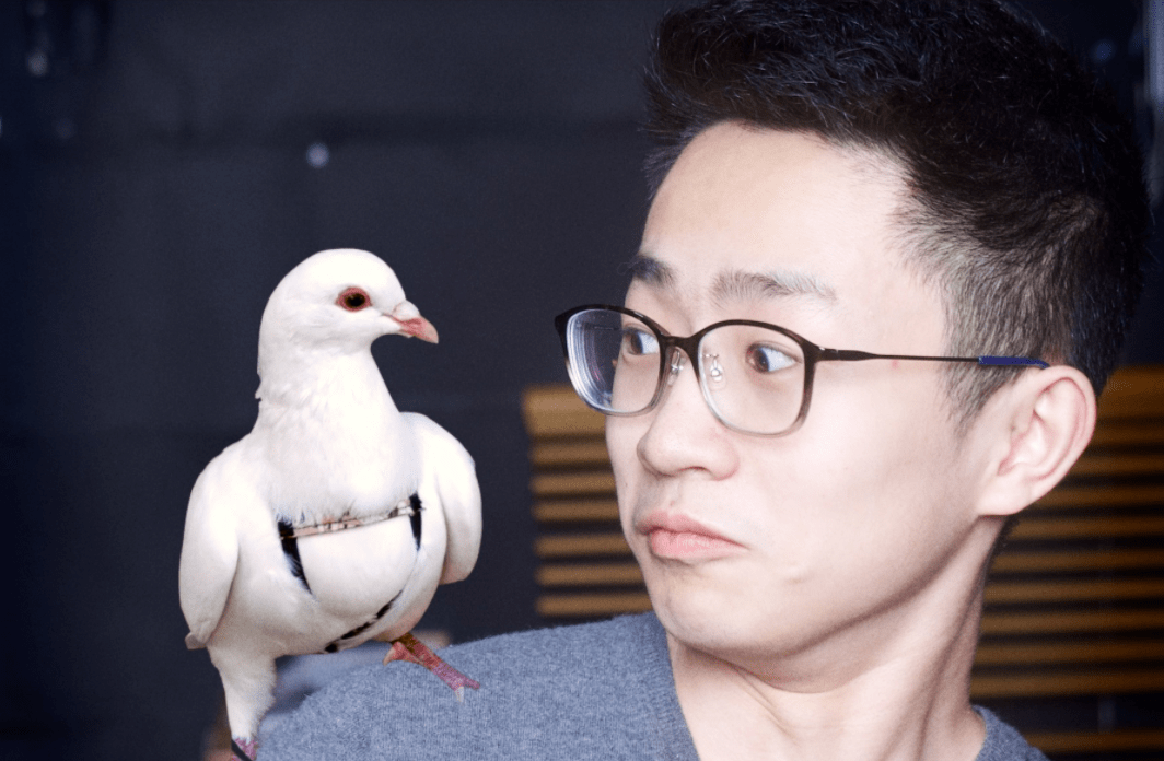 何同学B站单日涨粉超10万,3个月更新一次,却坐拥500万粉-搜狐大视野-搜狐新闻