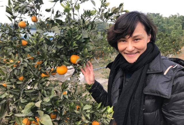 7年全胜的跳水女皇,二婚嫁大十岁"粉丝",秀书法获称赞!_高敏