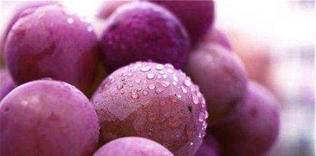 爱美女性常吃的食物,坚持食用,排泄毒素,改善便秘,越吃越苗条