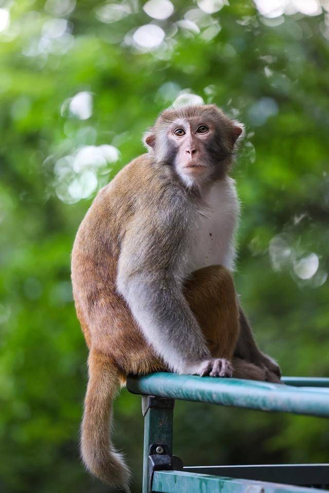 佳能rf广角标准长焦镜头哪款适合你