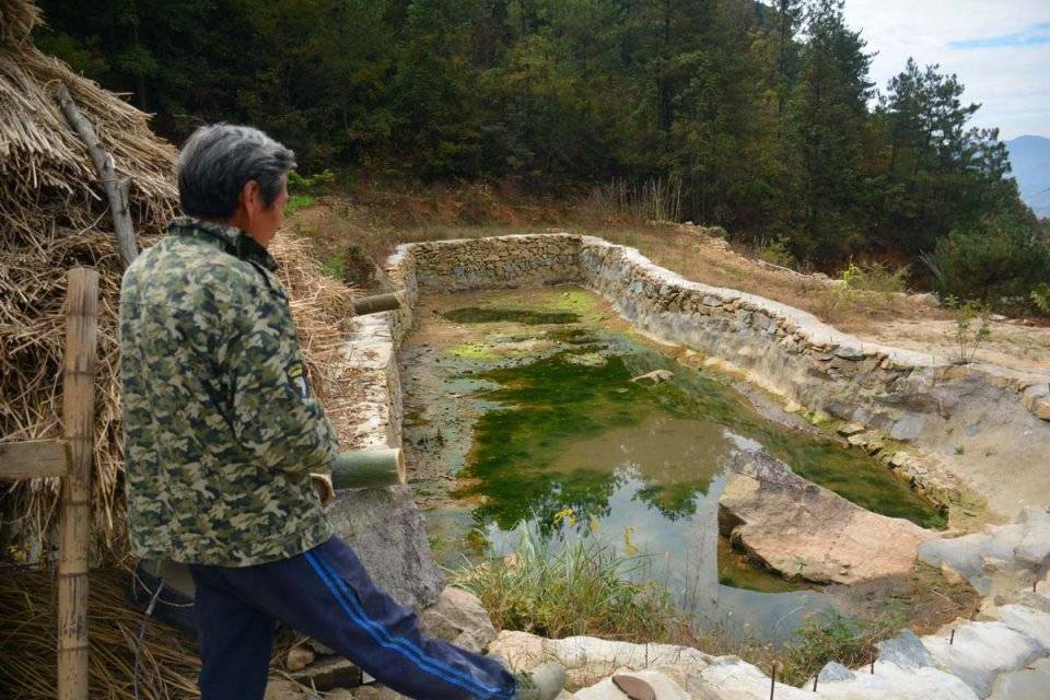 大叔在山裡建1池塘,花費數萬元卻不為養魚,村民們都誇讚_手機搜狐網