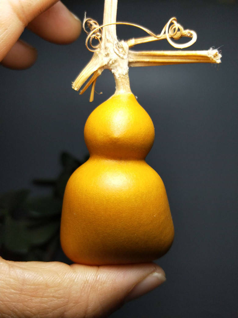 文玩葫芦布盘,油盘,手盘哪种最好?别急!这点才是最重要的!