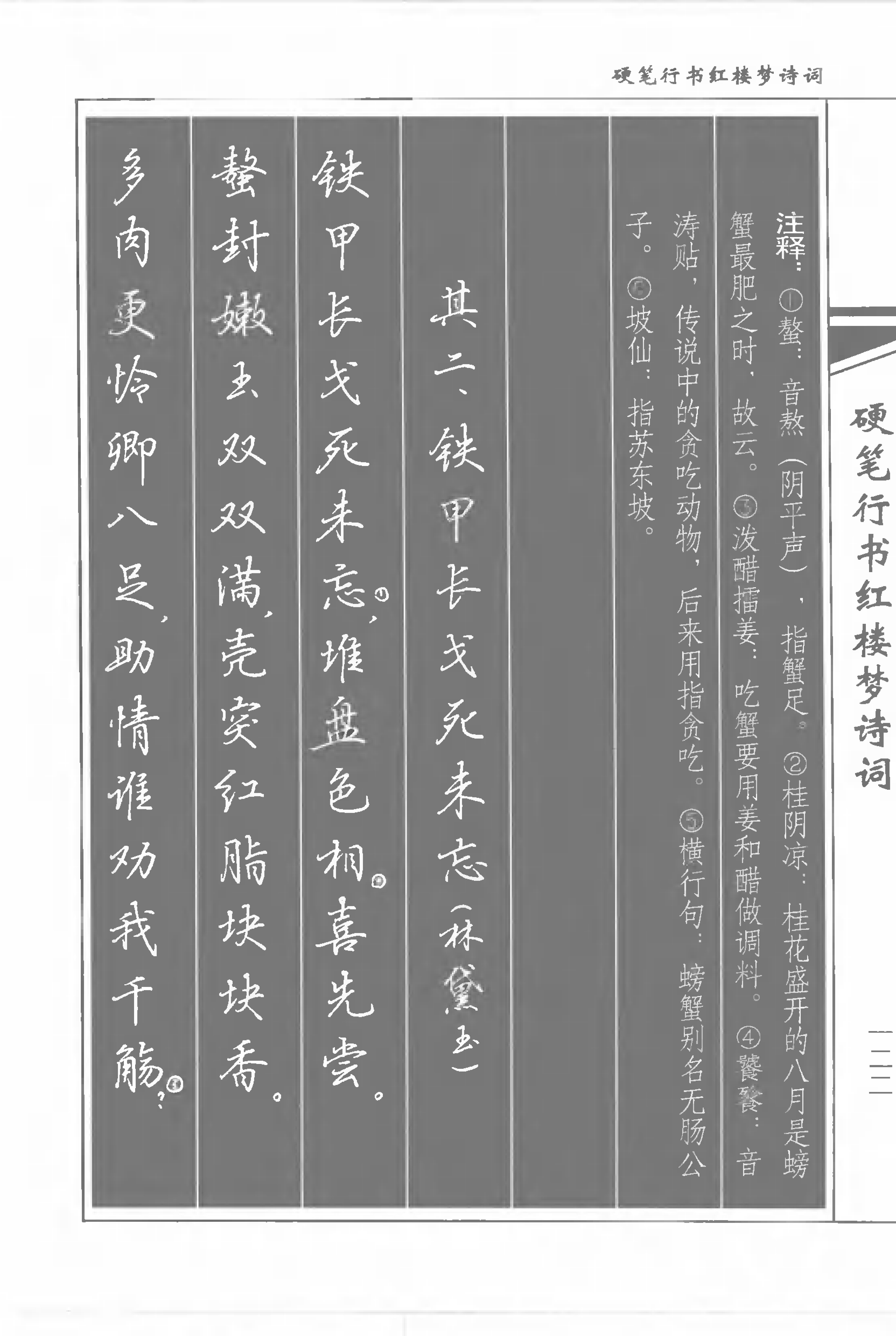 书法家吴玉生《硬笔行书红楼梦诗词》练字好字帖,轻松学书法