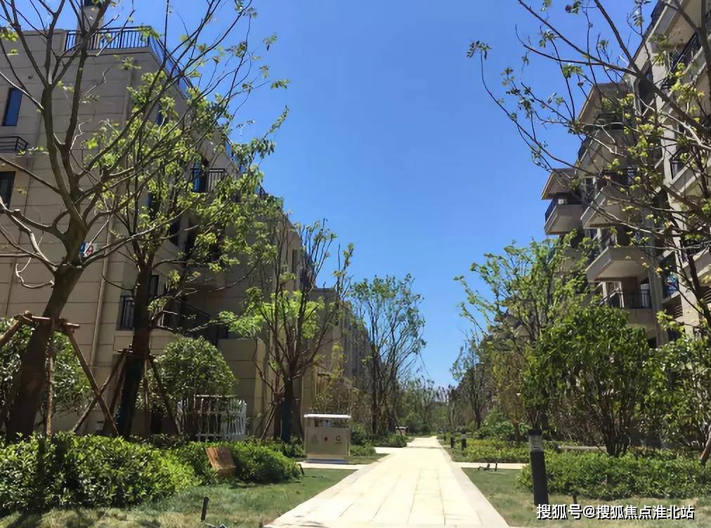 2021【湖州安吉碧桂园凤凰府】【营销中心】—【碧桂园凤凰府】—项目