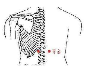 取穴:胃俞穴位于背部,当第12胸椎棘突下,旁开15寸