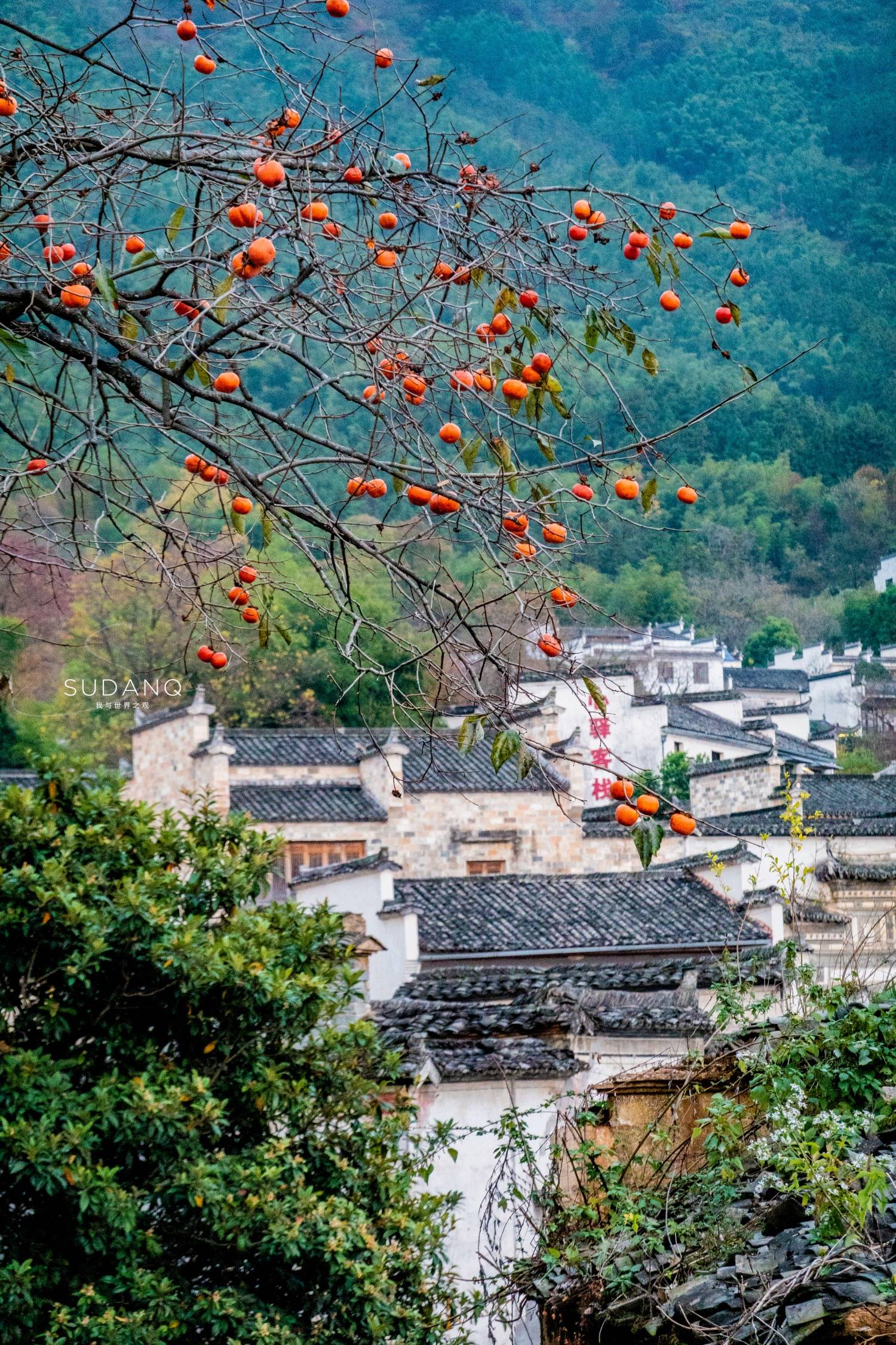 安徽这个小山村被誉为中国四大最美秋色之一历史将近千年