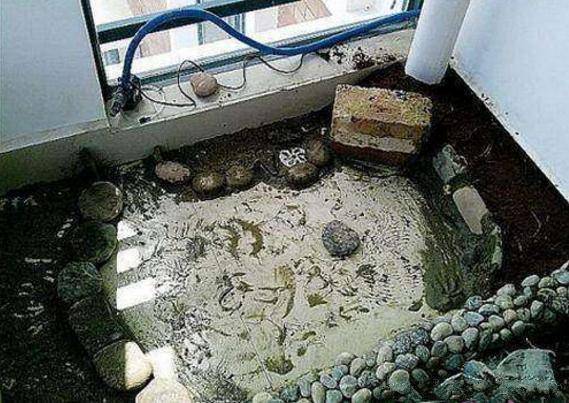 在自家阳台做了鱼池,晒到业主群,没曾想楼下邻居竟找上门来吵架