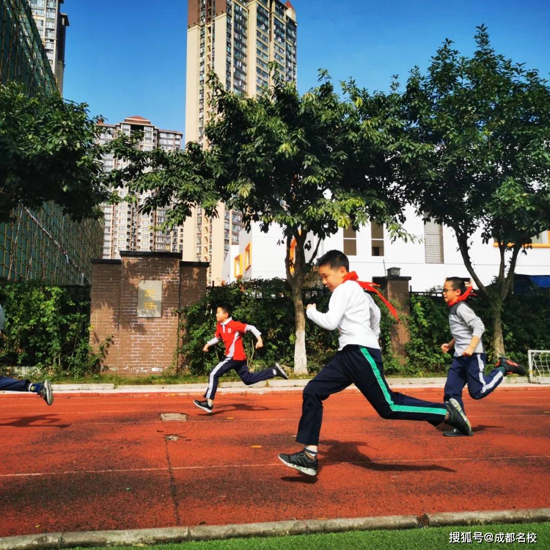 中学体育教案格式 参考_小学一年级体育教案 表格式 ._中学体育教案全集