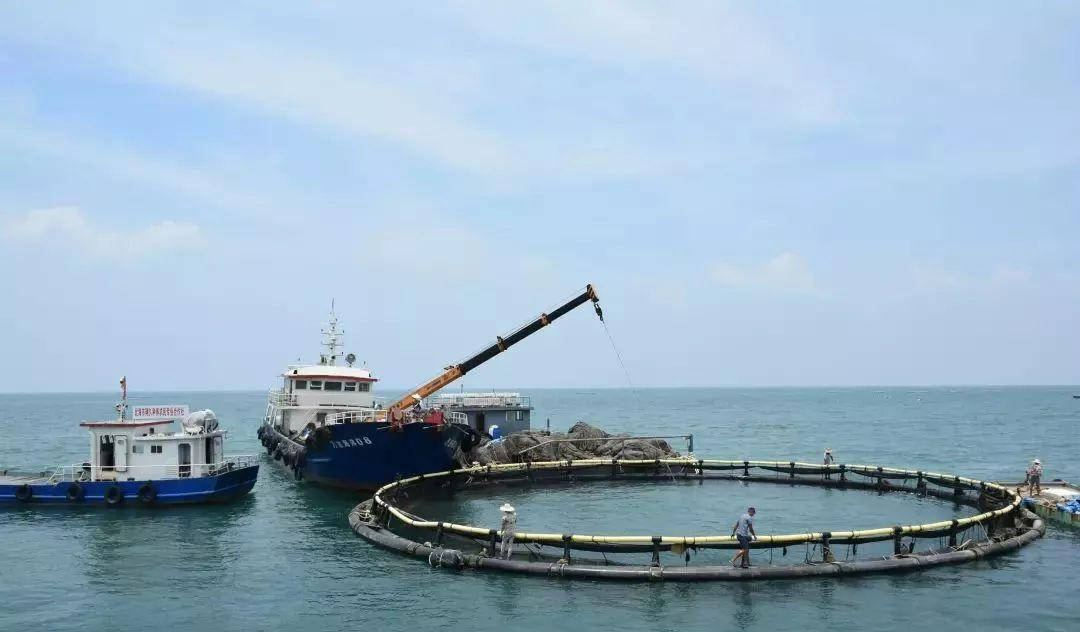 原创建设海洋牧场和水产养殖北海市挂牌出让两万多亩海洋海域使用权