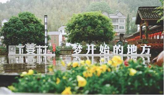 从穷山沟到绿富美下姜村是乡村振兴梦开始的地方