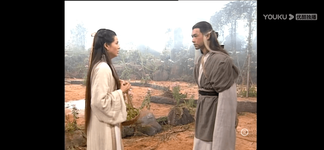 在小龙女跳下悬崖之前的章节中,有段杨过和绝情谷谷主公孙止打斗的