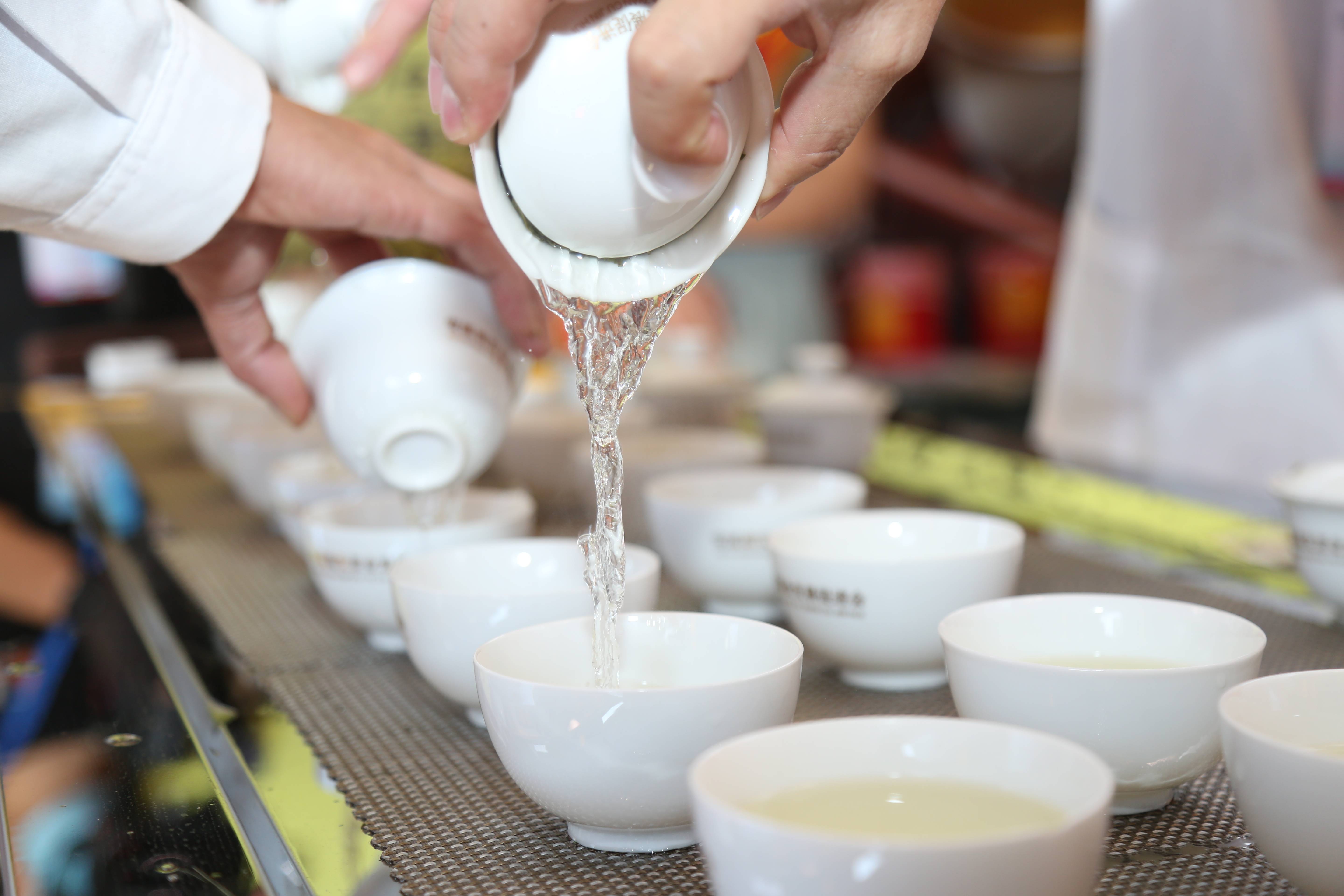 世界石都举办铁观音茶王赛,精彩再现历代闽南斗茶盛况_手机搜狐网