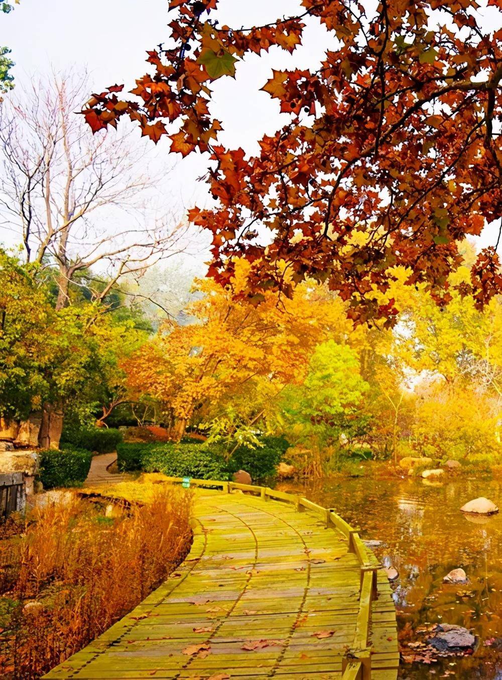 此时此刻潍坊人民公园醉人打卡打卡