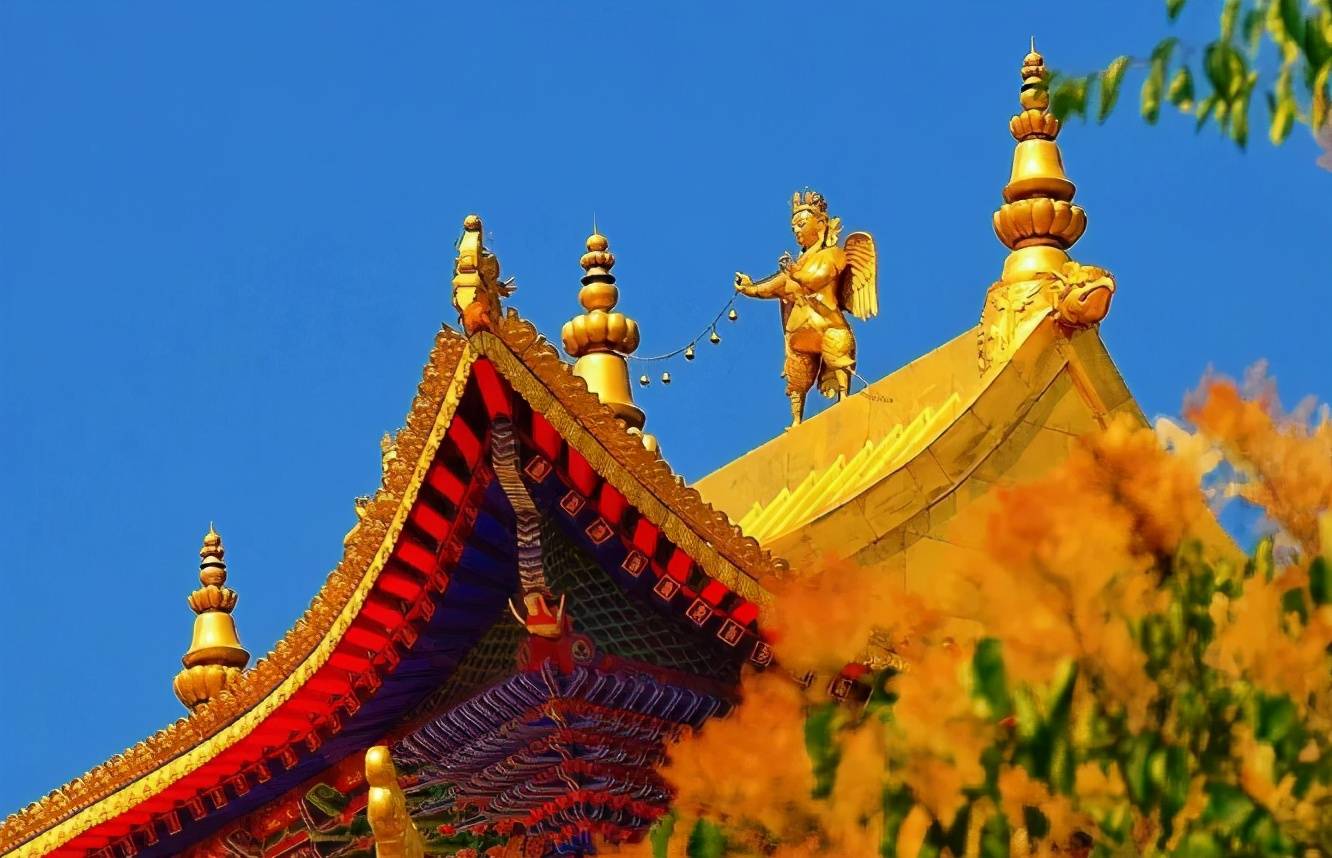 「随笔」今朝梦回塔尔寺