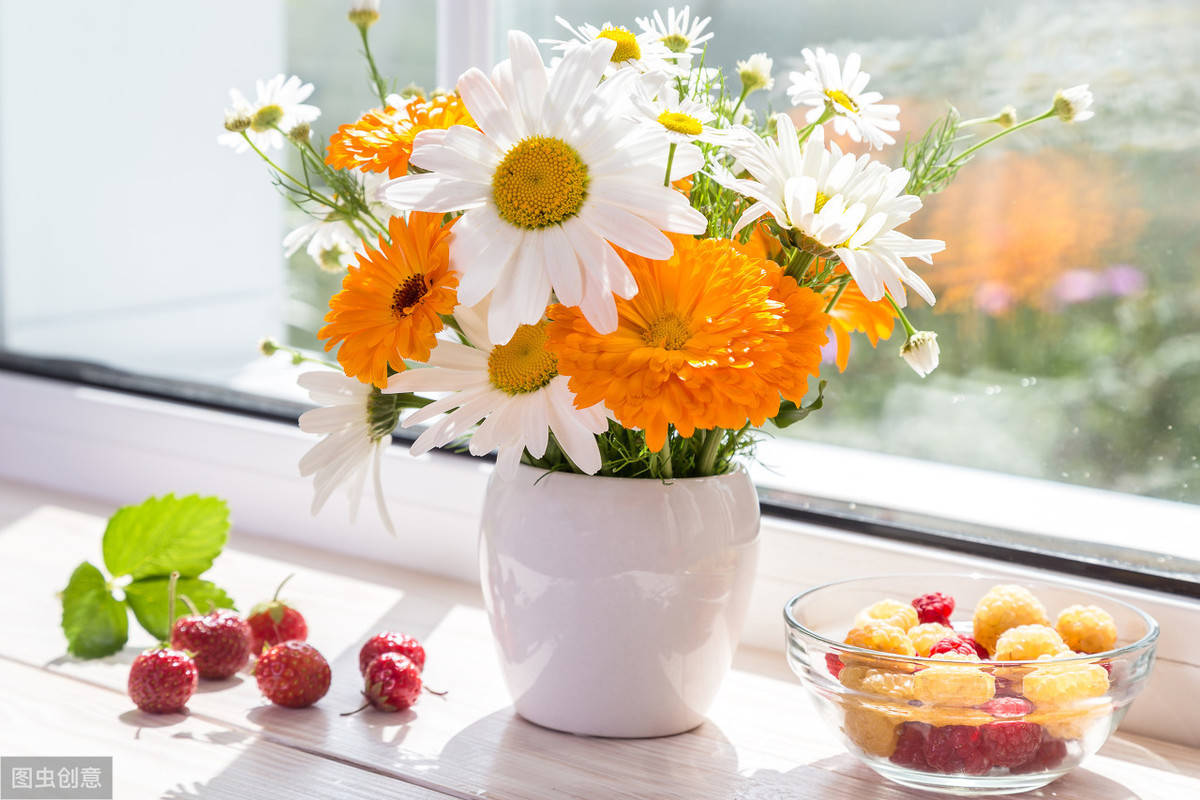 清晨发朋友圈的阳光句子,送给热爱美好生活的你