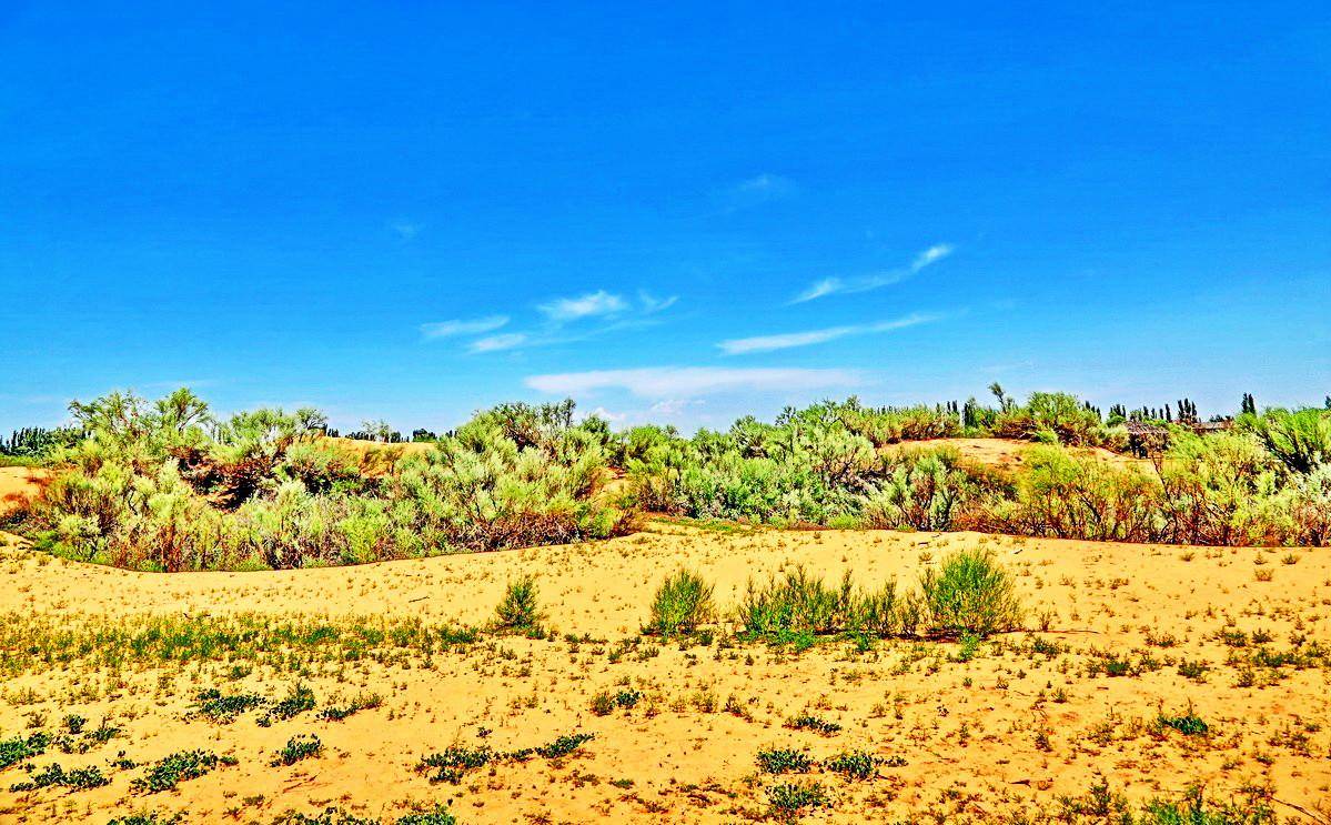 原创"三碳循环经济"背后的三叹