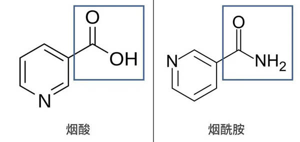 烟酰胺导致面部长黑毛是真的吗?对于烟酰胺的护肤误区
