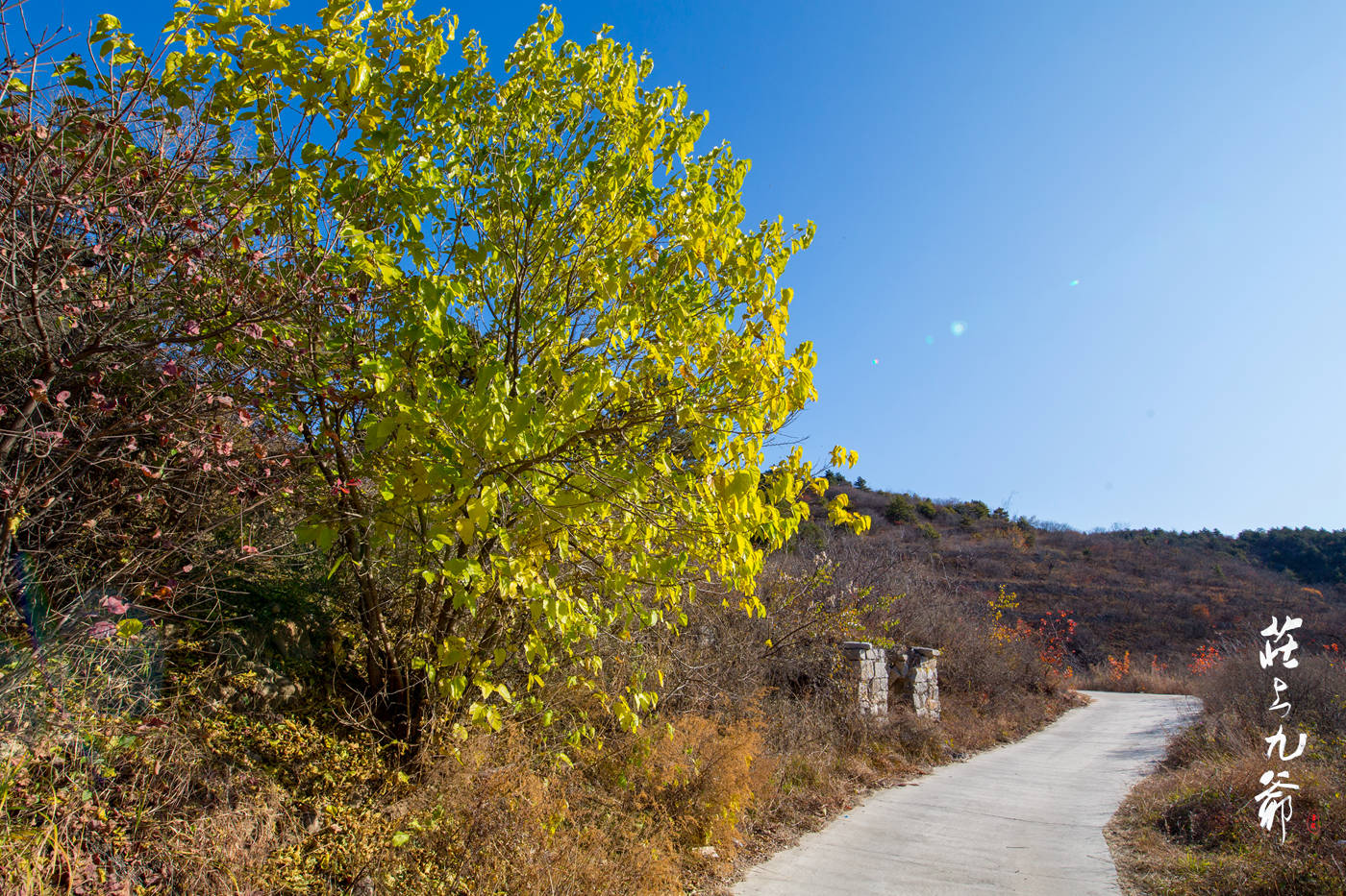 太行之巅有个小村松树岭 道路崎岖陡峭 令人望而却步