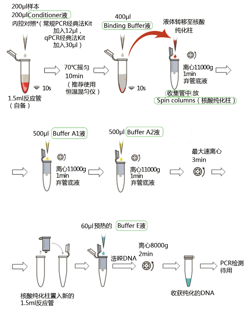 什么时候应进行支原体DNA提取_检测