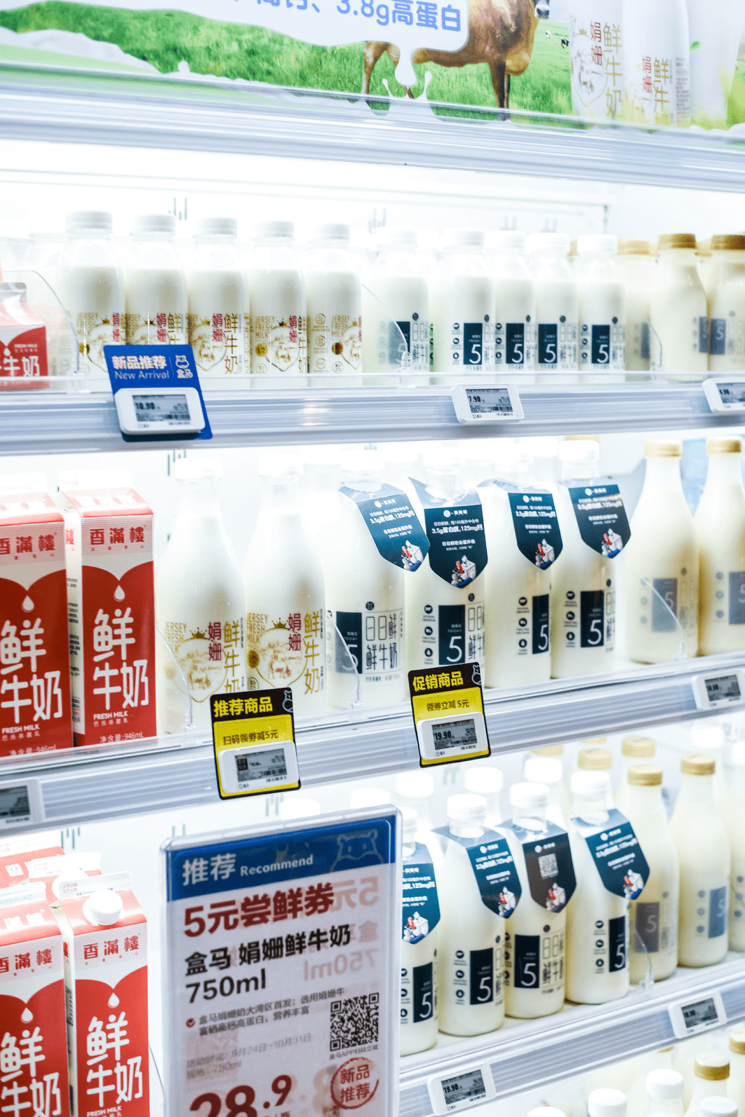 广东乳业香满楼联手盒马鲜生推出日日鲜鲜牛奶