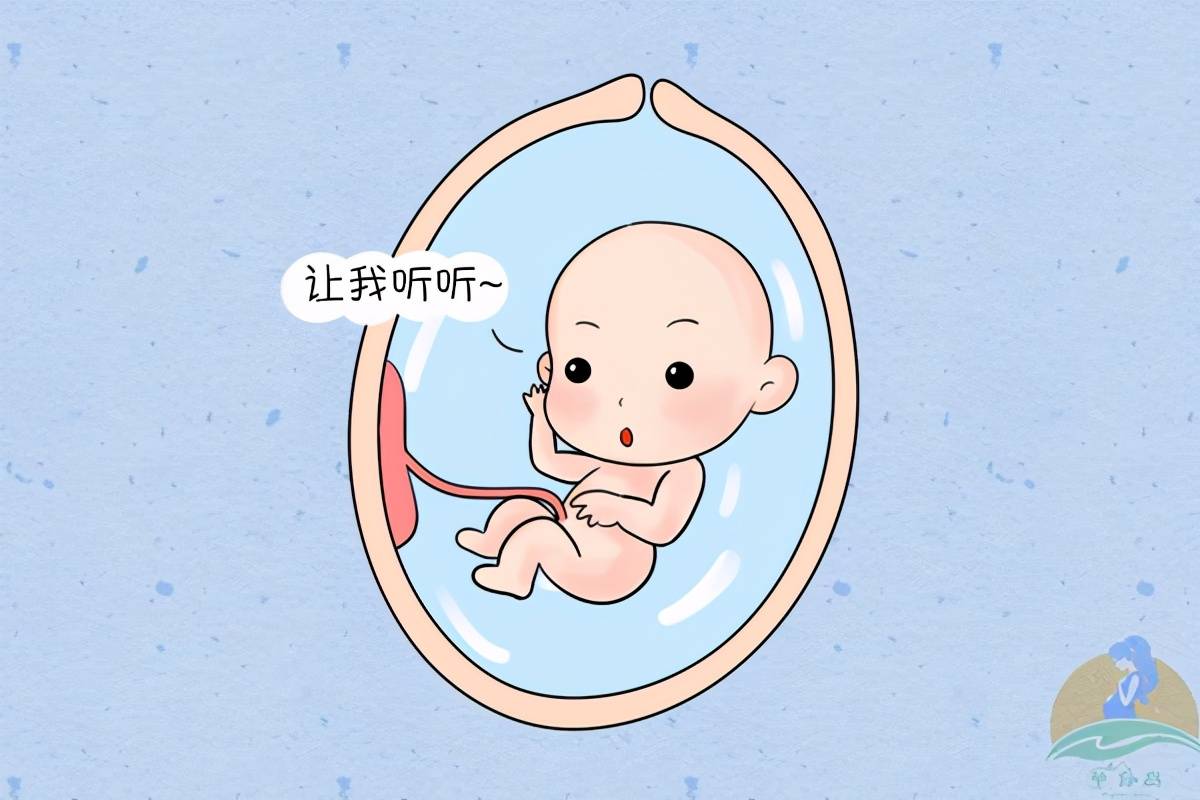 原创胎教能让宝宝更聪明?错误方法可能"教了个寂寞",这样教才有用