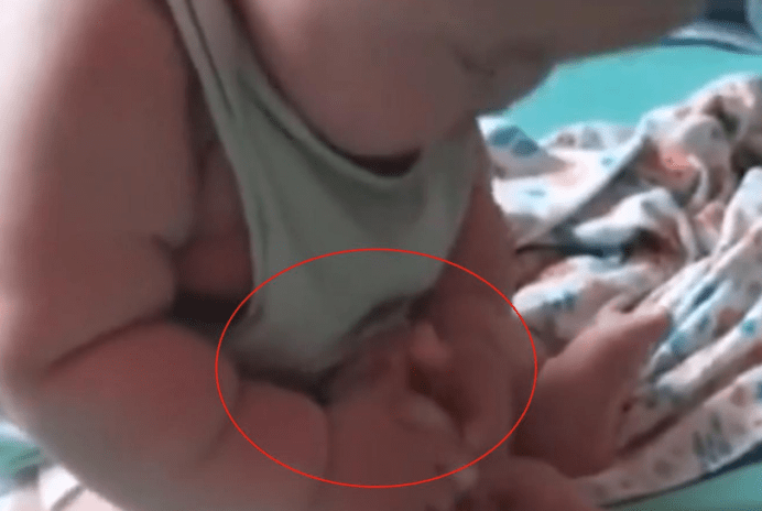 妈妈给宝宝买了只小鸡,宝宝爱不释手,做出的动作却让妈妈着急_手机