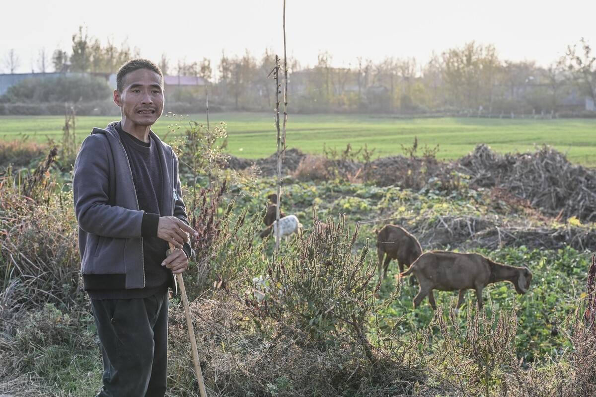 河南一个自称山羊胡子的农民放羊拾柴成了名人太传奇