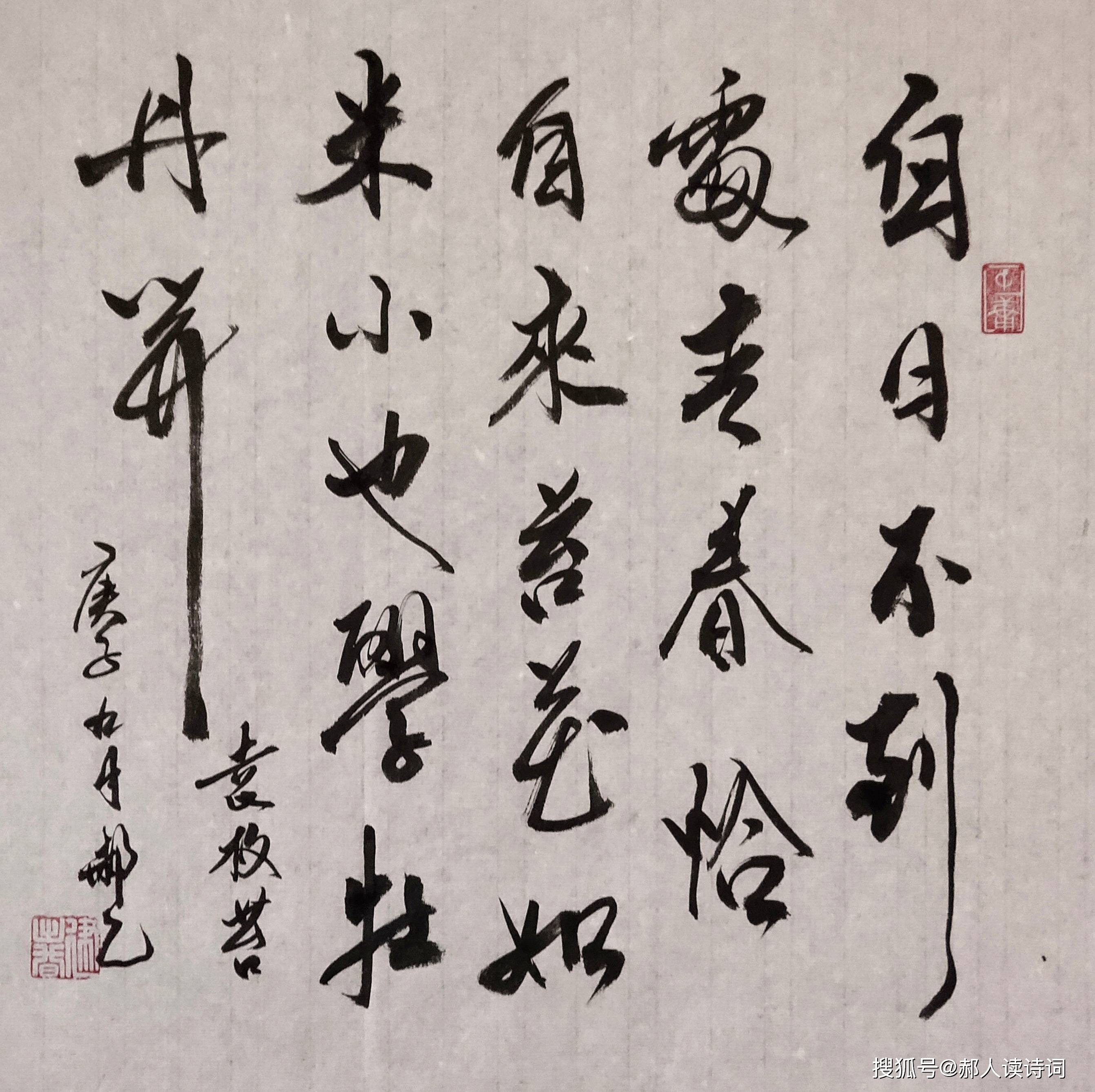 中央电视台《经典咏流传》节目中,由袁枚作词,梁俊作曲的一首歌《苔》