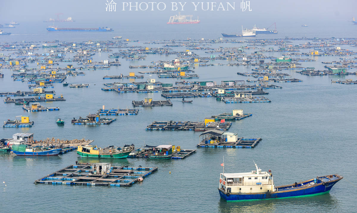 广东三大渔港码头图片
