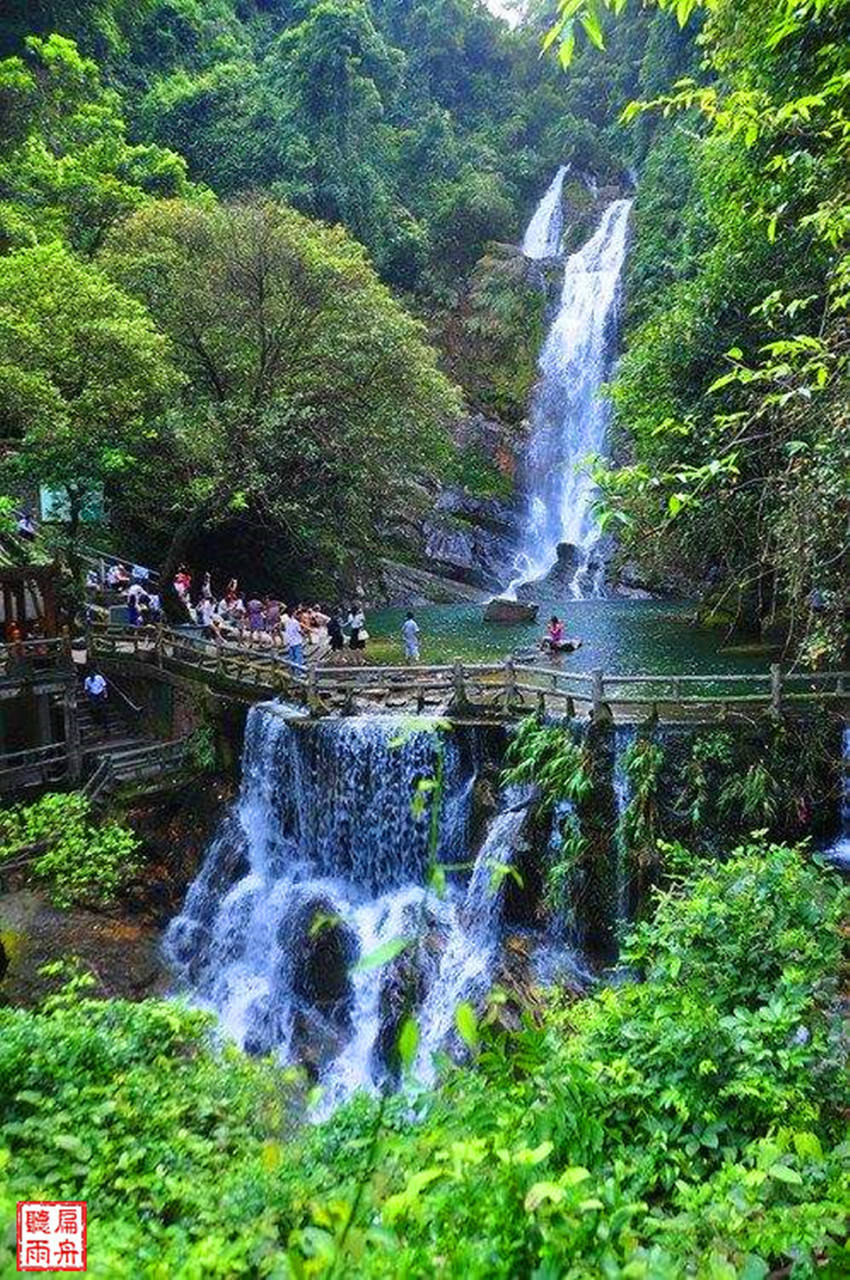 玩转鼎湖山感触北回归线上的绿色宝石