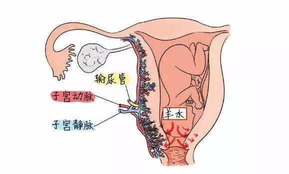 孕期不爱动南海24岁孕妇患上这种罕见病鬼门关走了一遭