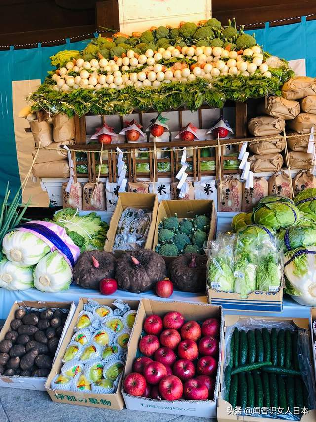 原创明治神宫,日本新年参拜第一位,现在展出的新鲜的供奉蔬菜是亮点